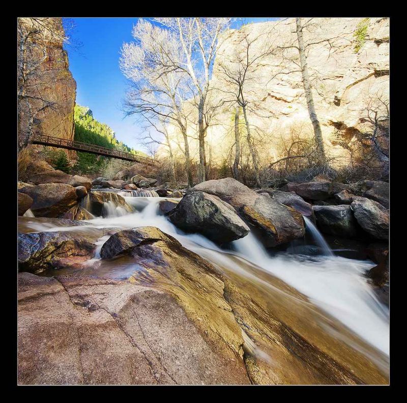 a golden shimmer.jpg